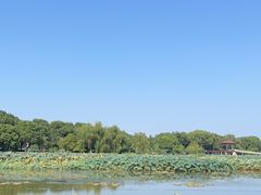 -荷塘月色湿地公园·向阳花洲