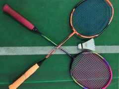 -阳光羽毛球馆(马家龙店)