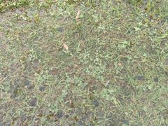 -汉长安城未央宫国家考古遗址公园