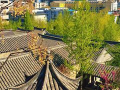 -戏马台景区