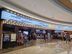 -CGV影城(壹方城IMAX店)