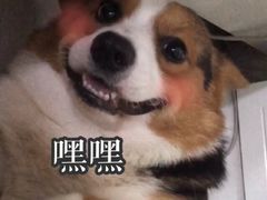 -黑皮酸菜鱼(三山街店)