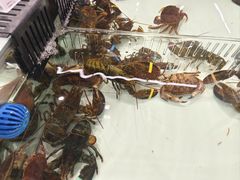 -永辉超市(鲁谷店)