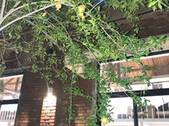 -boundaries籬苑(瑞光创意工厂-贰号院店)