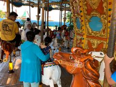 -秦皇岛乐岛海洋王国