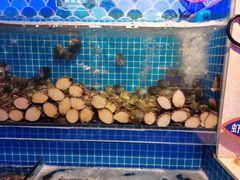 水产区-乔哥铭洋海鲜自助(皇城恒隆广场店)