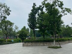 -成飞公园
