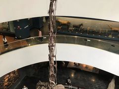 -昆明动物博物馆