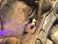 -哈尔滨波塞冬海底世界