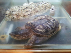 android_upload_pic-上海大自然野生昆虫馆