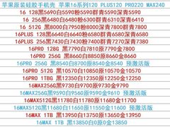 -Apple零售店(玄武湖店)