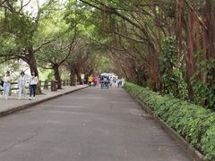 -大湾区中央湿地公园