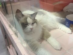 -FAELING PETS美天灵宠物(富力广场店)