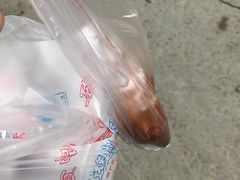 -邓氏兔头