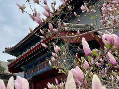 -天津大悲禅院