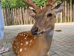 -北京野生动物园