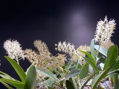 -北京植物园-展览温室
