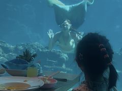 -海棠湾洲际-涛·海底餐厅·美人鱼·自助餐·海底隧道