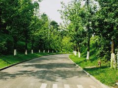 -铁山坪森林公园