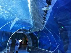 -多彩贵州城极地海洋世界