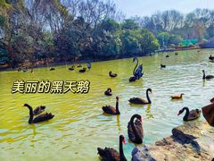 -扬州市茱萸湾风景区
