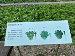 -鄞州雪菜博物馆