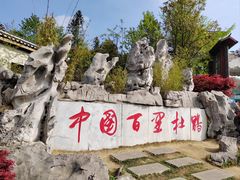 -贵州百里杜鹃风景名胜区