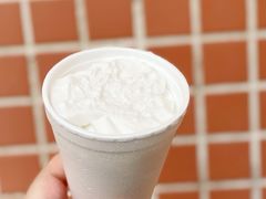 椰子雪糕-洪馨椰子