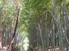 -同里国家湿地公园