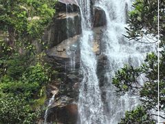 -海南热带雨林国家公园吊罗山景区