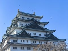 -名古屋城