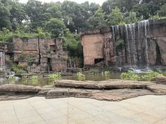 -宜兴龙背山森林公园