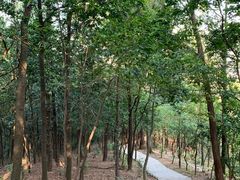 -滴水岩森林公园
