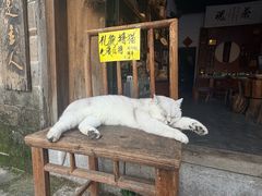 -羊楼洞