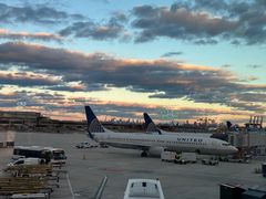 -纽瓦克自由国际机场