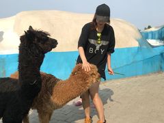 -西霞口神雕山野生动物世界