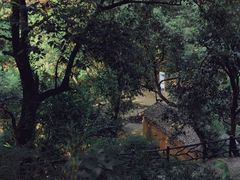 -杨家堂村