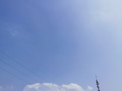 -巴奴毛肚火锅(大剧院店)