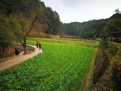 -韶山毛泽东同志故居