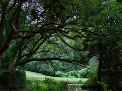 -敬亭山风景名胜区