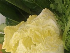 -草原传奇鲜羊火锅(桥北店)