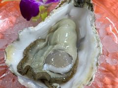 生蚝-成发鱼生