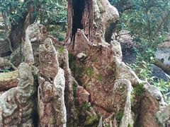 -坝光海滩