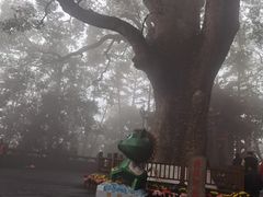 -安溪清水岩
