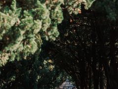 -八大关景区