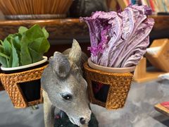 -慢丽江·云南野生菌土鸡锅(付家庄店)