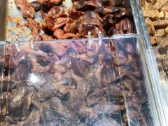 -紫光园(顺义店)