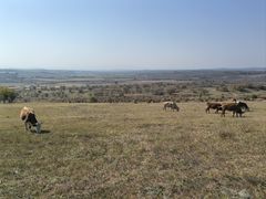 -塞罕坝国家级自然保护区