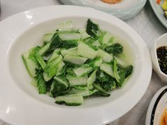 -新名仕新白玉兰餐厅