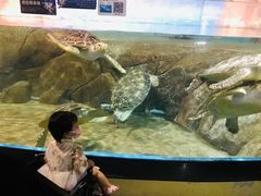 -福州罗源湾海洋世界旅游区